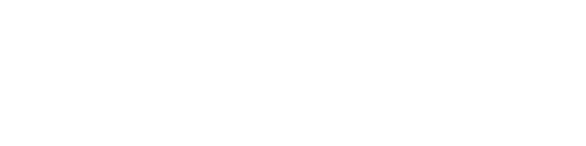 GPX International